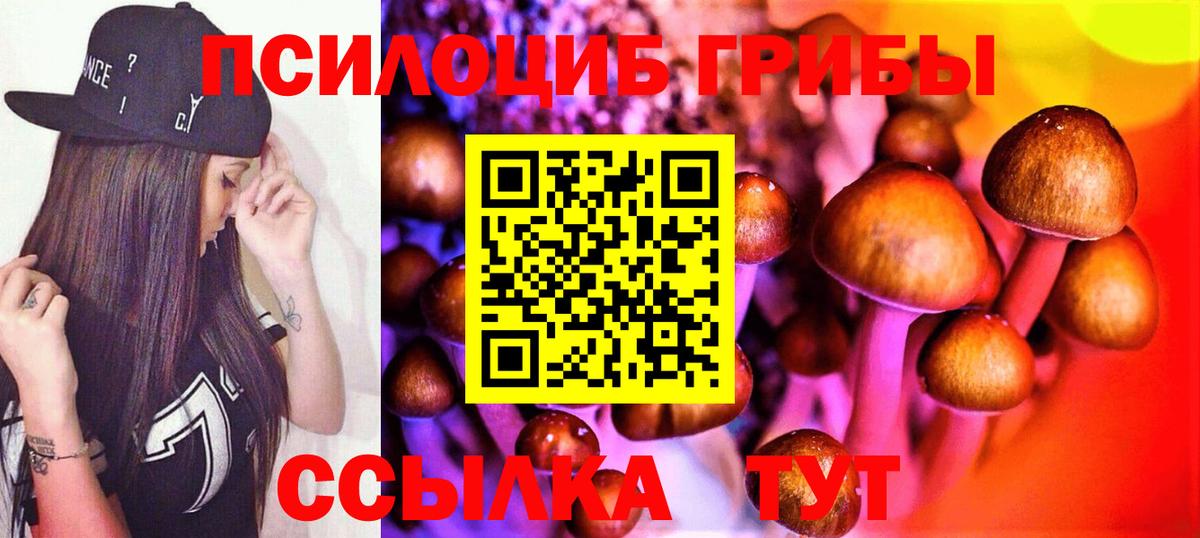 Галлюциногенные грибы мухоморы Дмитров