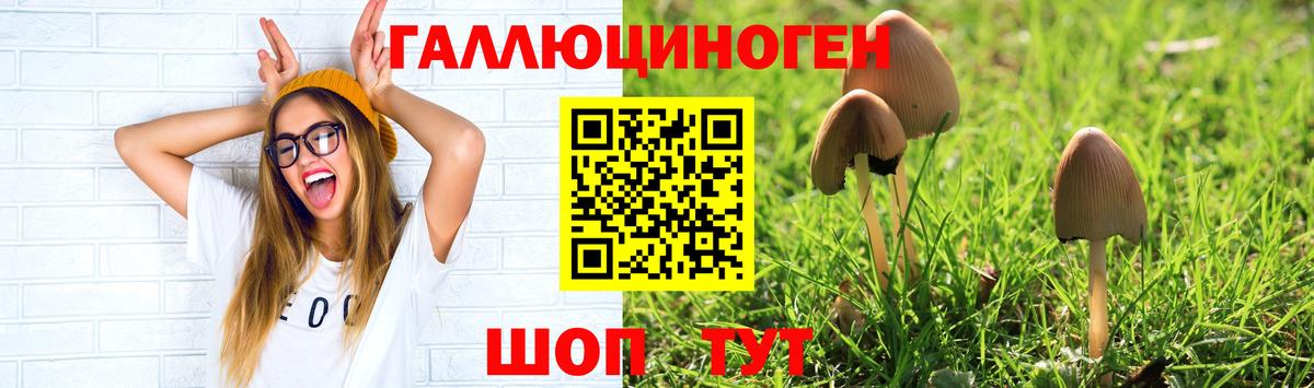 Псилоцибиновые грибы мухоморы  где продают наркотики  Галлюциногенные грибы мухоморы  Дмитров  Вход с VPN 